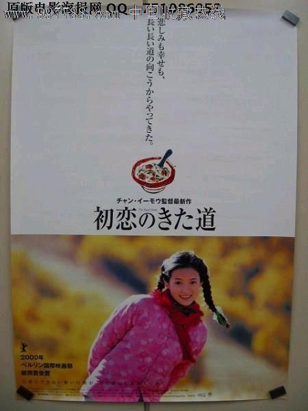 维拉诺瓦大学公共管理文凭证书